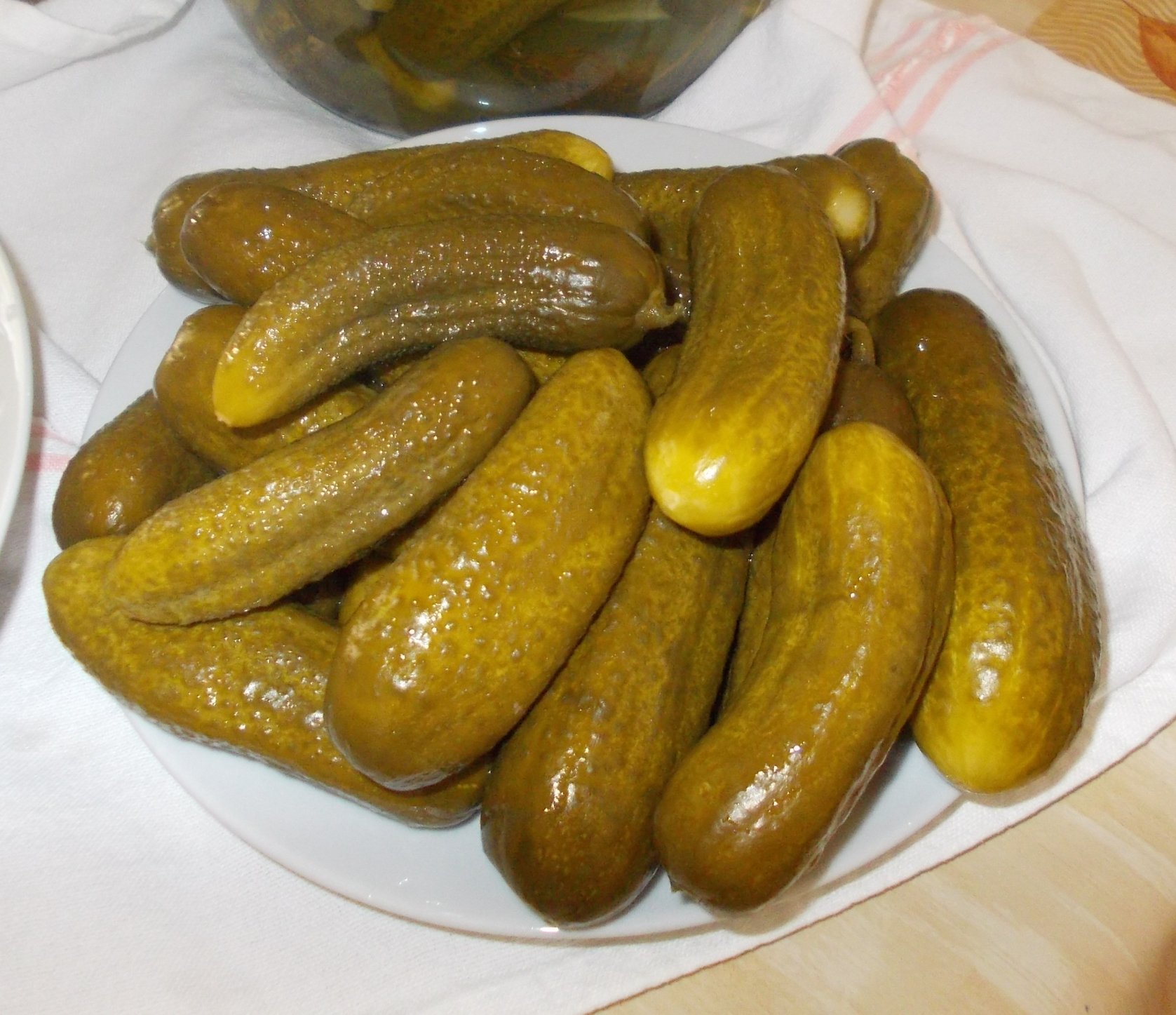 DSCN0237 1